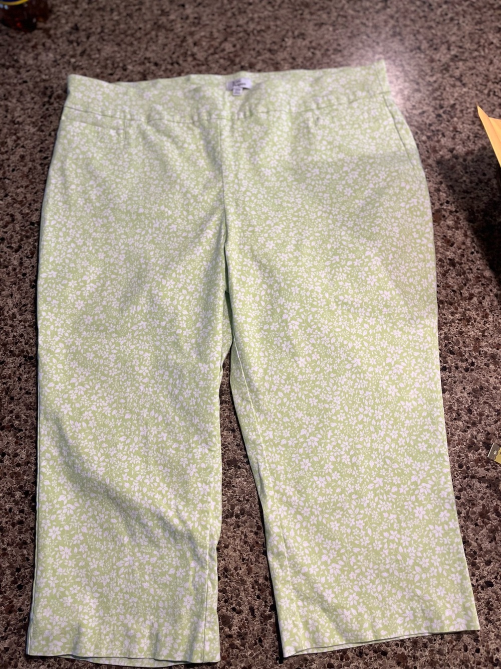 Kim Rogers Size 22 Light Lime Floral Capris
